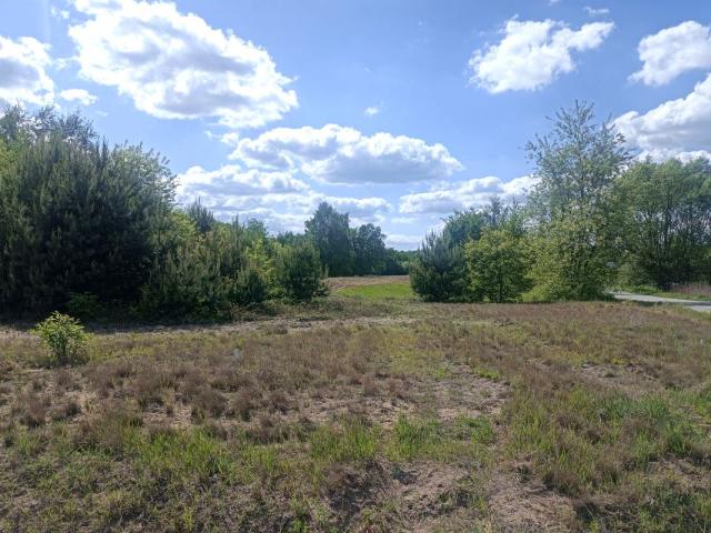 Działka 1 800 m², Matyldów