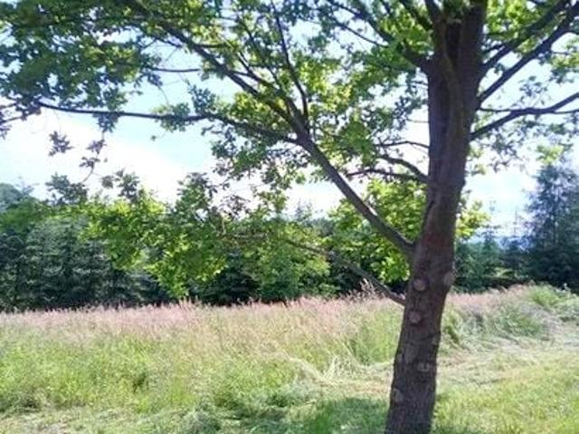 Działka 1 800 m², Nowy Sącz