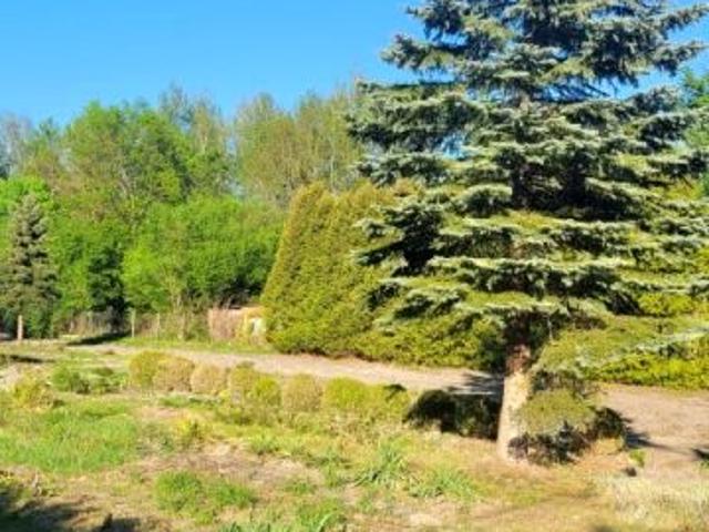 Działka 1 800 m², Pilawa