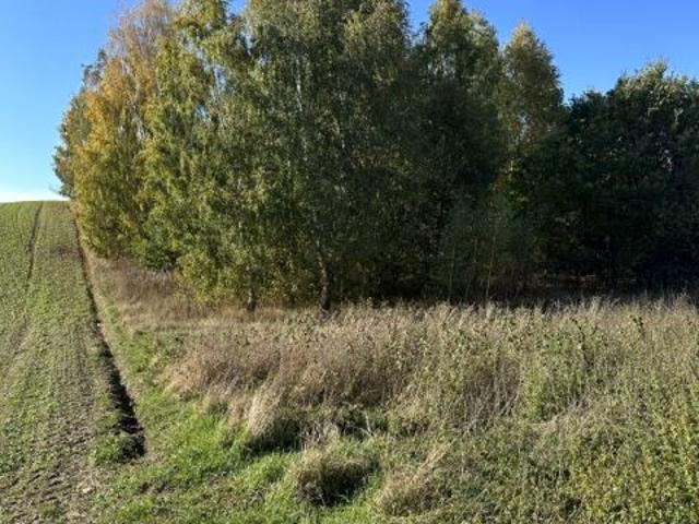 Działka 1 818 m², Płouszowice