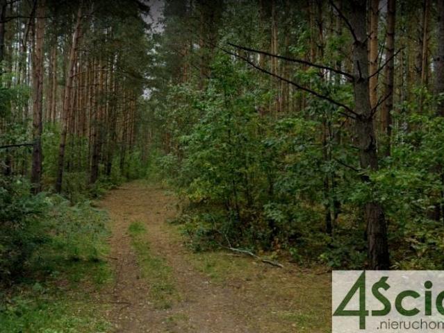 Działka 1 836 m², Ojrzanów