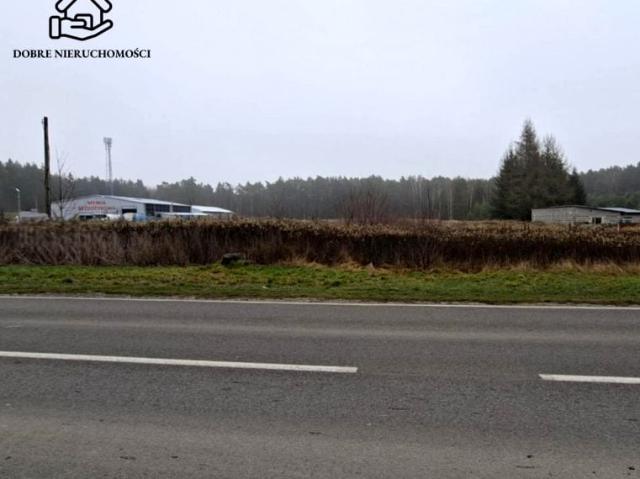 Działka 1 824 m², Głusko Duże Kolonia