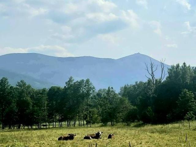 Działka 1 824 m², Kostrzyca