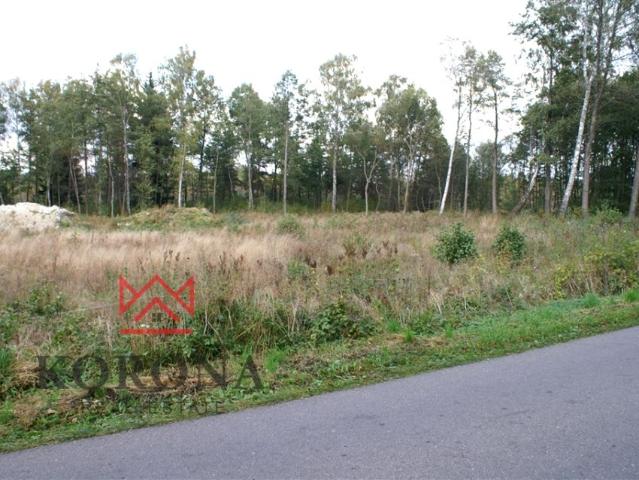 Działka 1 826 m², Hołówki Duże