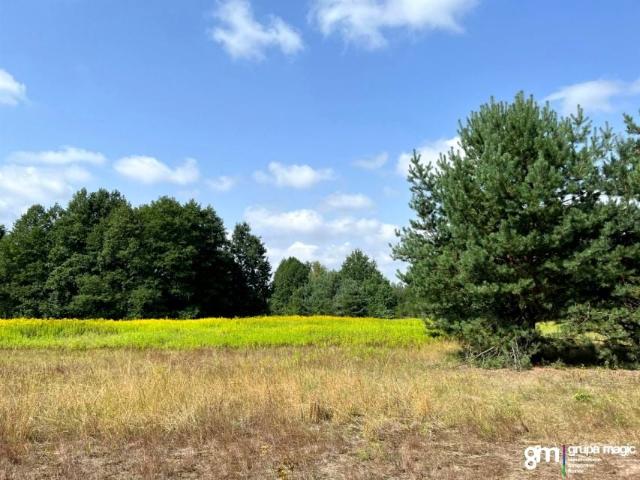 Działka 1 826 m², Złotoria