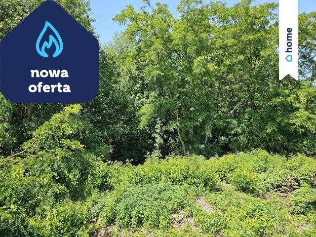 Działka 1,84 ha z lasem i łąką blisko jeziora