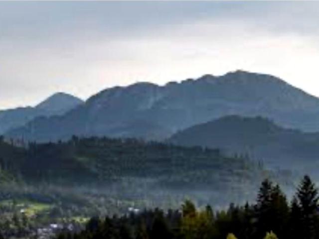 Za wierch 1 860 m², Kościelisko
