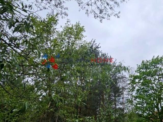 Działka 1 863 m², Zalesie Górne