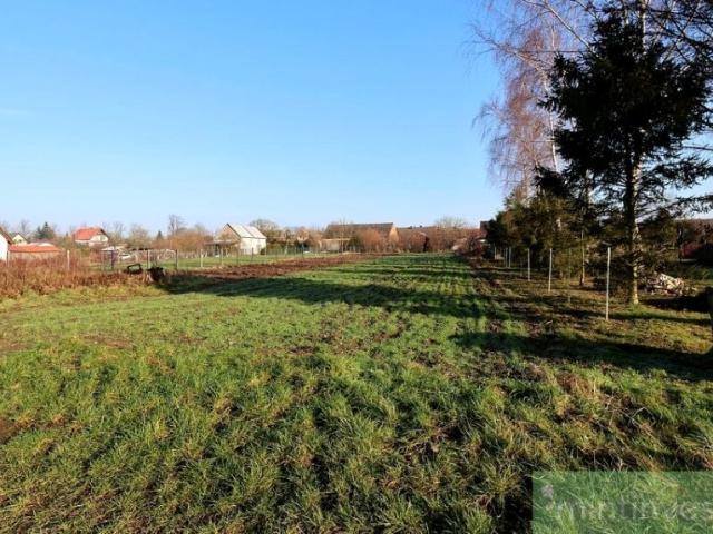 Działka 1 875 m², Przemocze