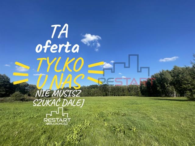 Działka 1,8 ha z zabudową i możliwością podziału