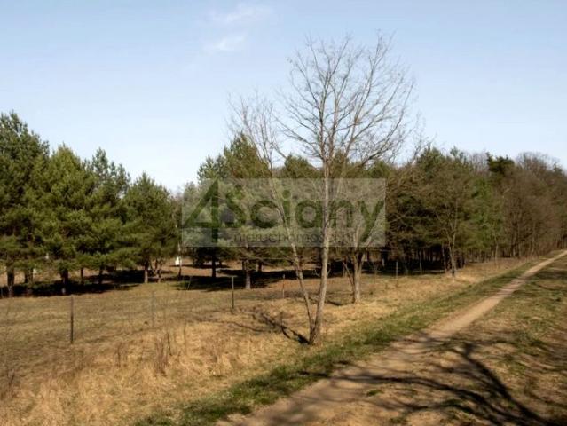 Działka 1 906 m², Rajszew