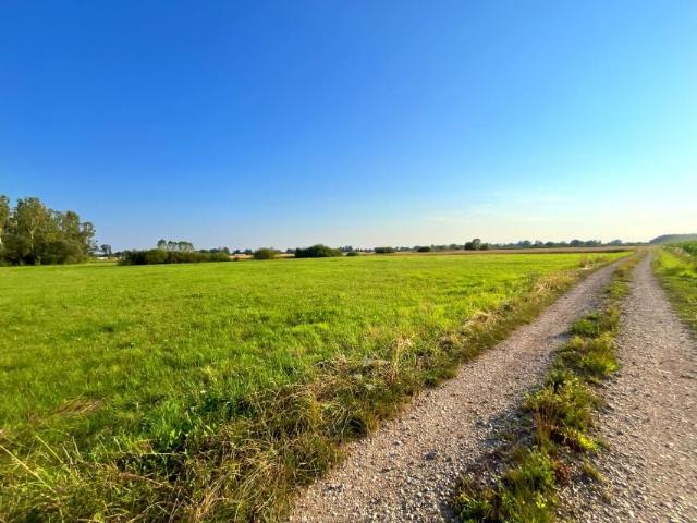 Działka 1 900 m², Żabiec