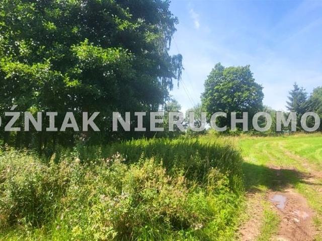 Działka 1 900 m², Mieroszów
