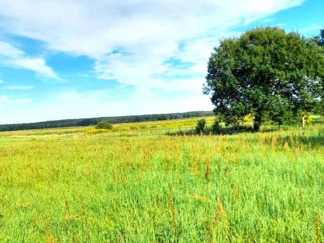 Działka 1,97 ha z lasem i jeziorem, cisza i spokój