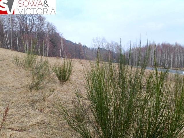 Działka 1 985 m², Jedlina Zdrój