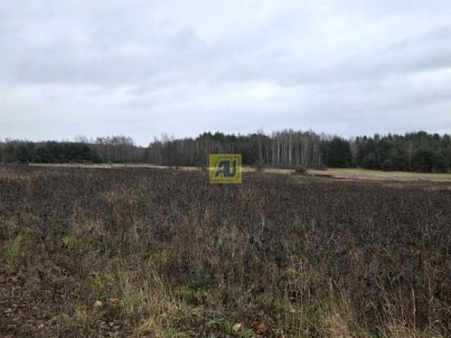 Działka 240 000 m², Ryki