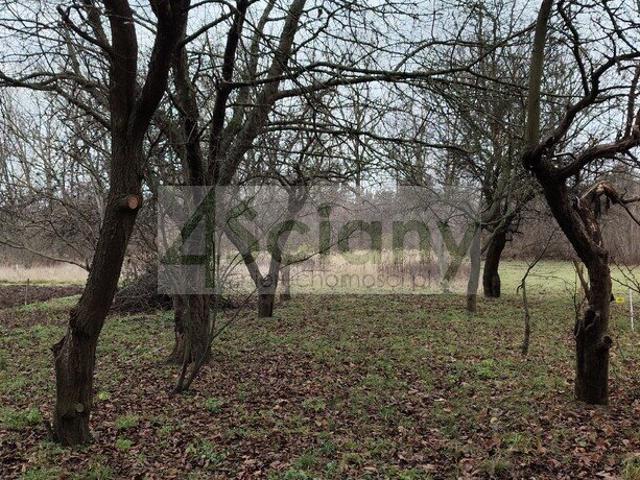 Działka 2418 m² z planem zabudowy i infrastrukturą