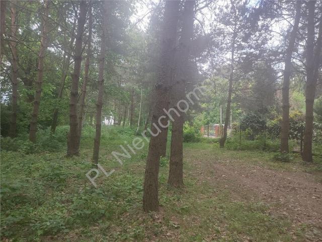 Działka 2440 m2 w Komorowie z mediami i planem zagospodarowania