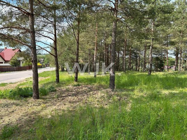 Działka 2474 m² z pozwoleniem na budowę i lasem