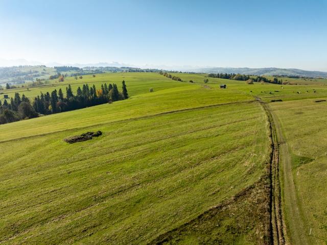 Działka 2482 m² z widokiem na Tatry i Gorce