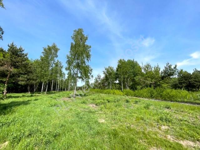 Działka 24 097 m², Ojrzanów
