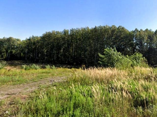 Działka 24 000 m², Radzionków