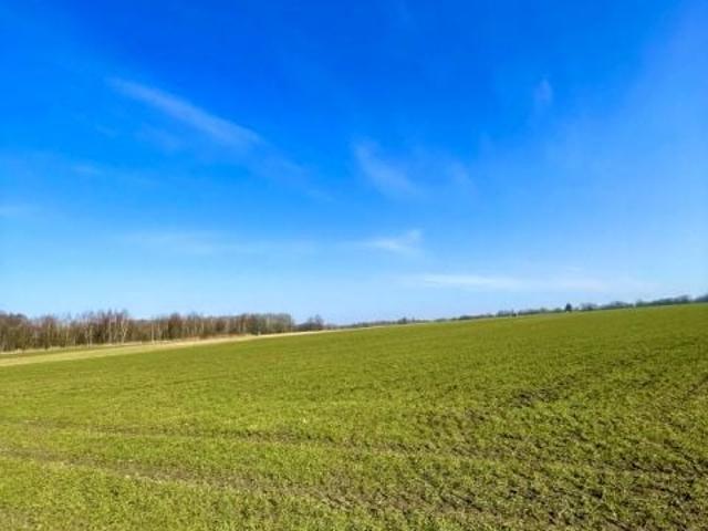 Działka 24 400 m², Trzebiatów
