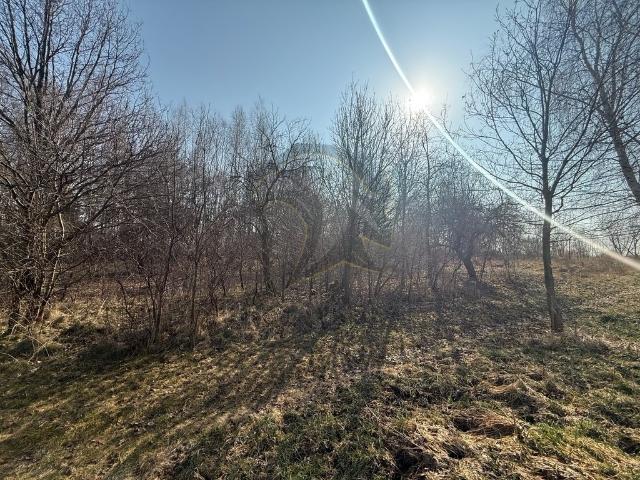 Działka 2576 m2 z możliwością podziału i zabudowy w Łodzi