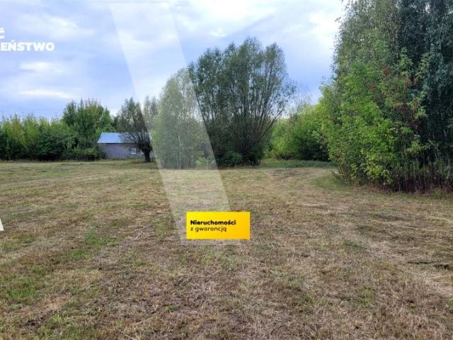 Działka 25 000 m², Młodzieszyn