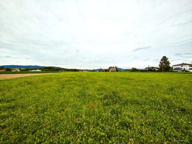 Działka 25 000 m², Stróże