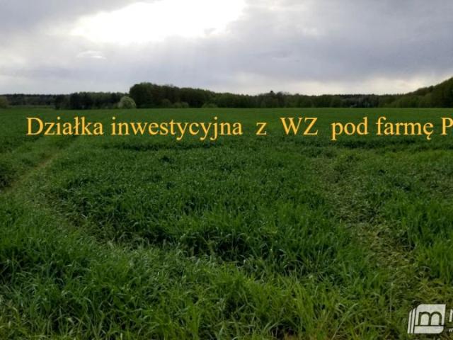 Działka 25 021 m², Przemocze