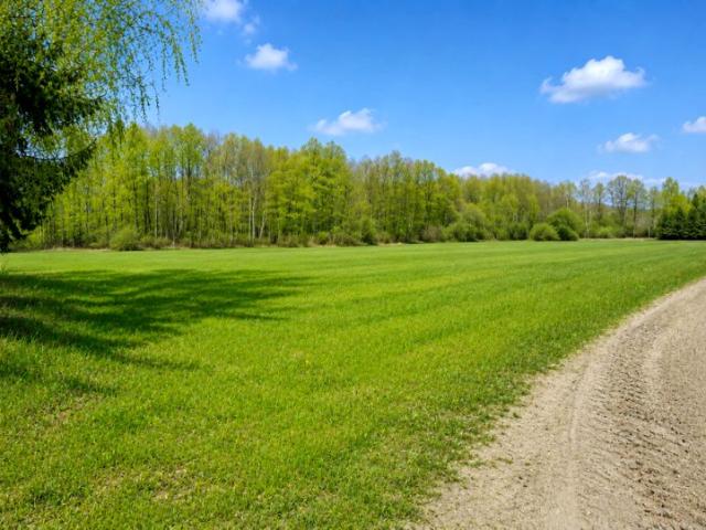 Działka 25 280 m², Nowosiółki