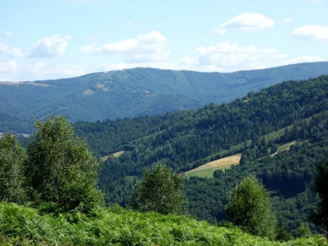 Działka 25 300 m², Brenna