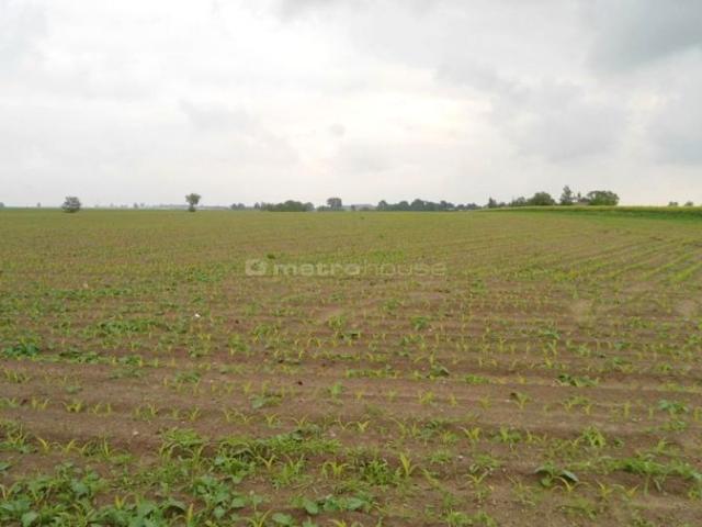 Działka 25 565 m², Czarne Piątkowo