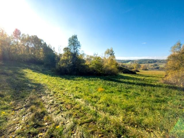 Działka 25 500 m², Rozdziele