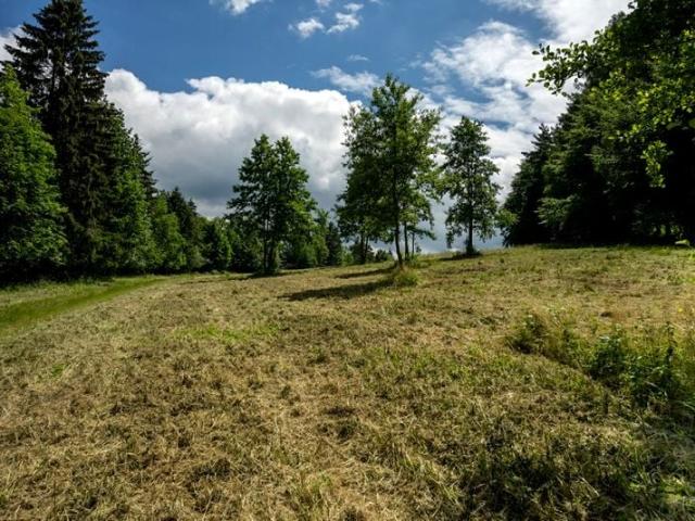 Działka 25 600 m², Idzików