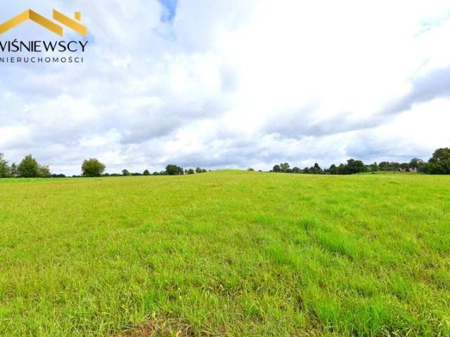 Działka 25 600 m², Jarzeń