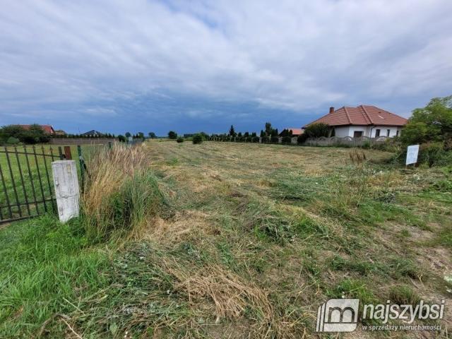 Działka 2600 m² w Lubczynie – cisza, zieleń, blisko plaży