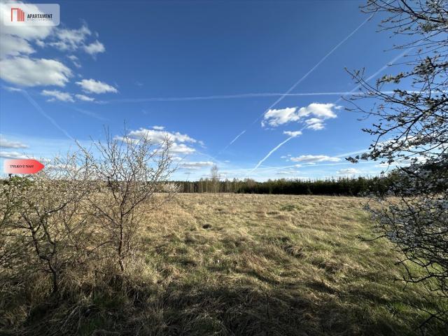 Działka 2600 m² w Skórce – cicha okolica, blisko szkoły