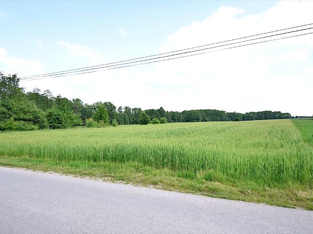 Działka 2600 m² z warunkami zabudowy i mediami
