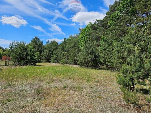 Działka 2630m2 z lasem i możliwością zabudowy w Skierniewicach