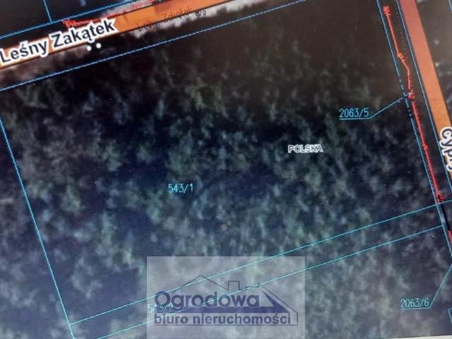 Działka 2675 m² z prądem, las i blisko rzeki w Popowo