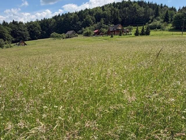 Działka 26 arów w Tarnawie Dolnej z widokiem na góry