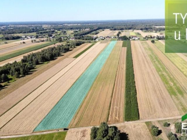 Działka 26 757 m², Trojany