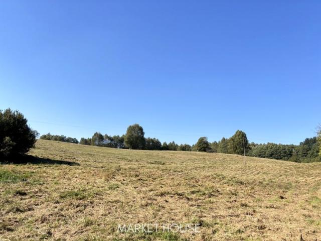 Działka 278 500 m², Szczycienko