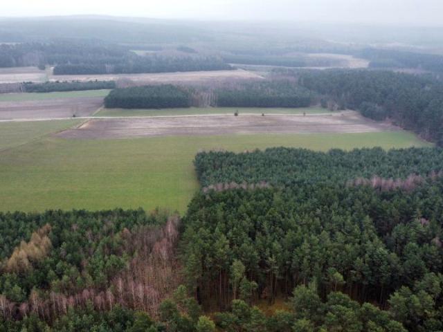 Działka 27 000 m², Gorzakiew