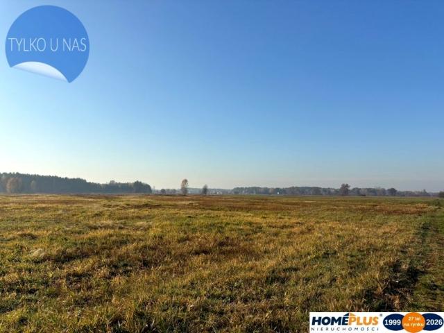 Działka 27 100 m², Nowe Załubice