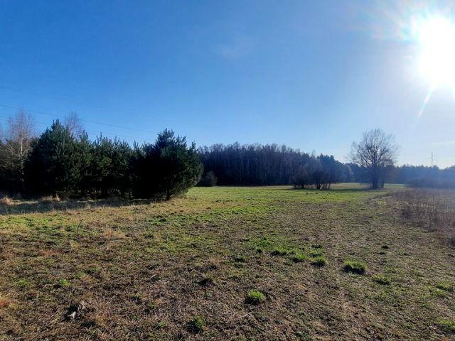 Działka 27 200 m², Płonka Kościelna
