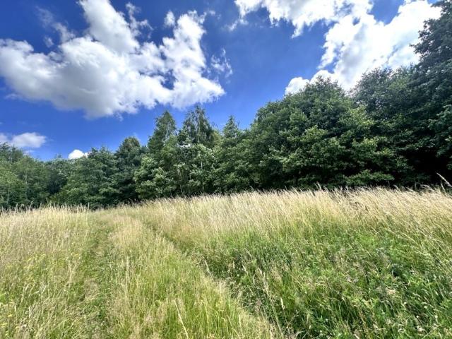 Działka 27 500 m², Rydzewo