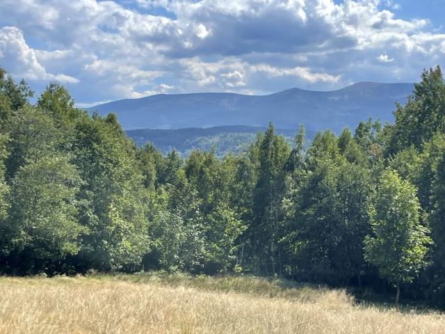 Działka 27 720 m², Piechowice
